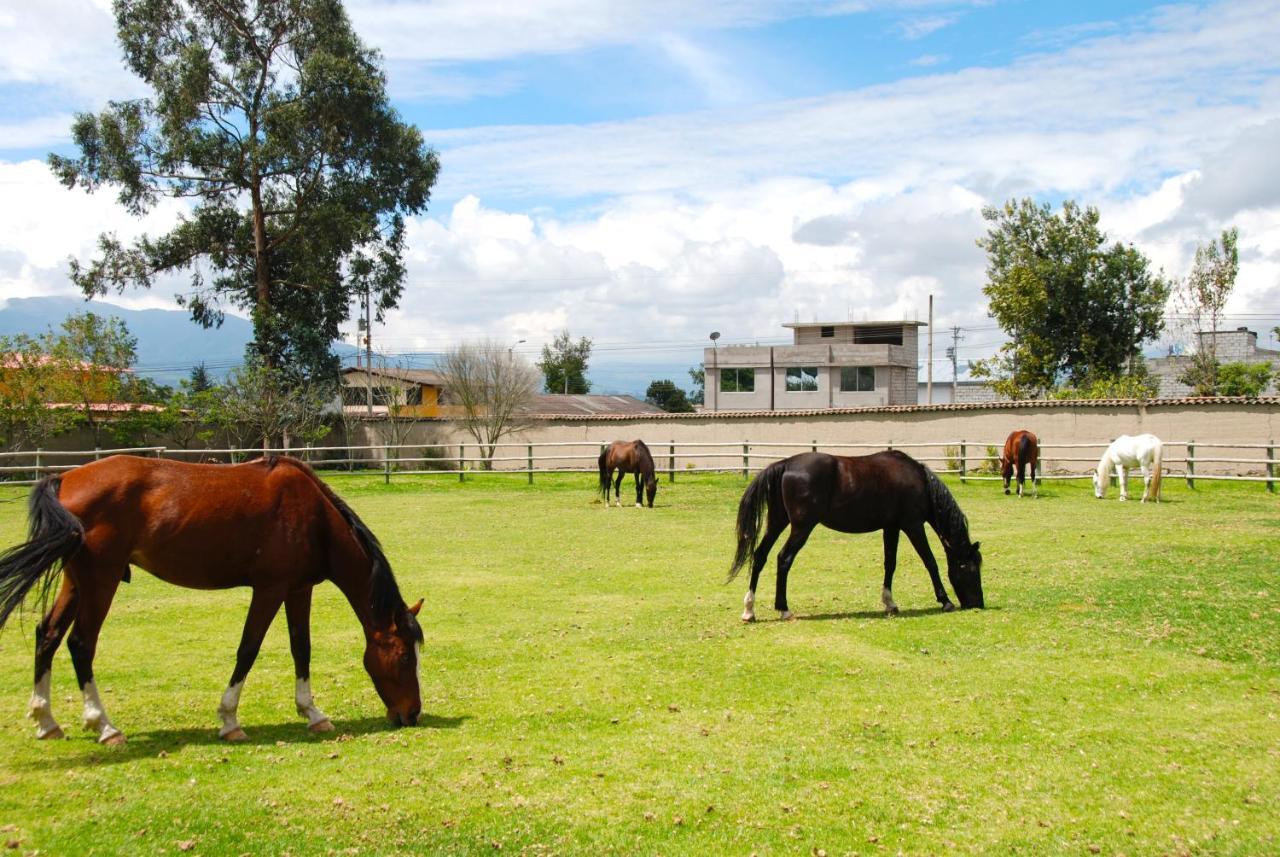 Hotel Hacienda Cusin Otavalo Exterior foto